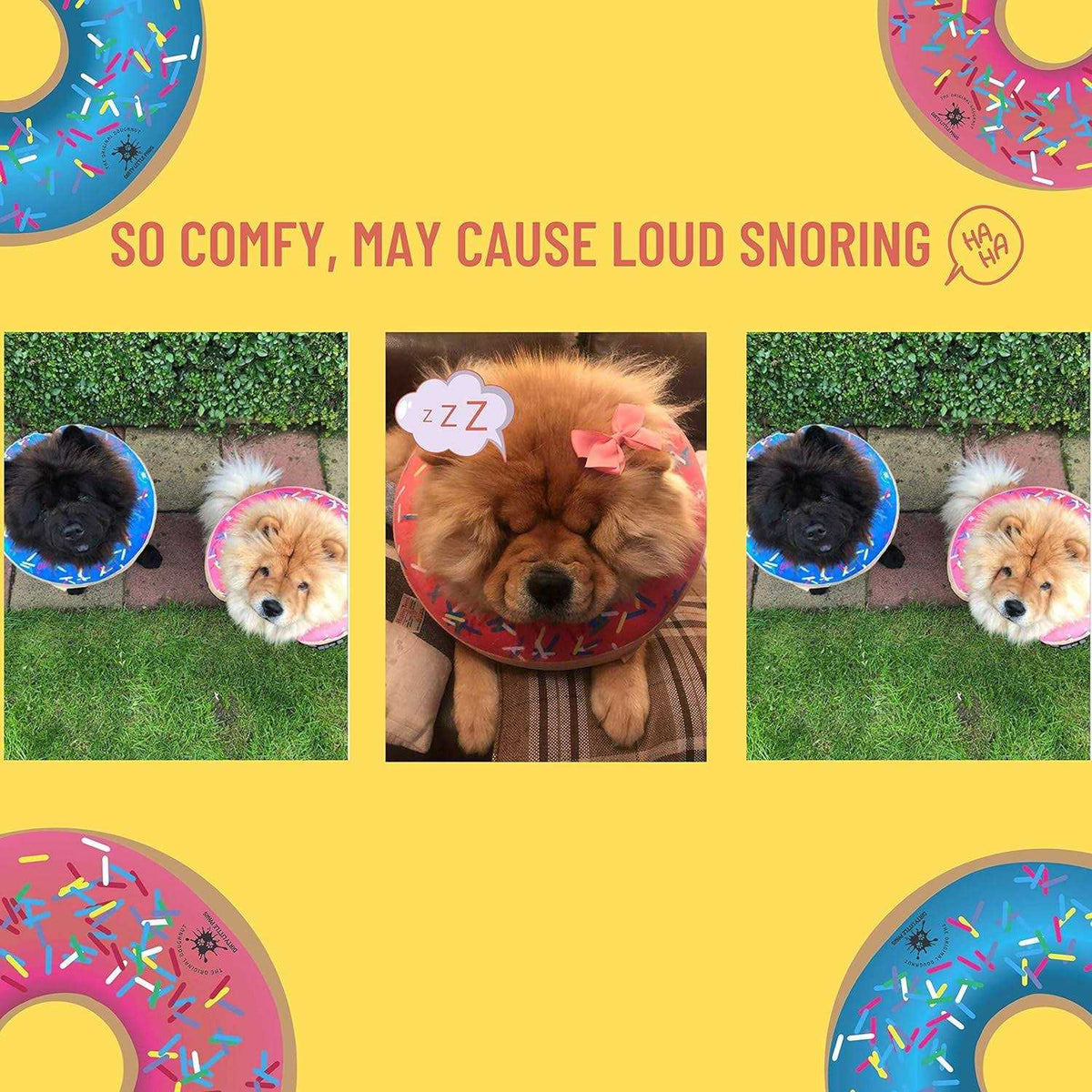 Dog Donut Collar R833999