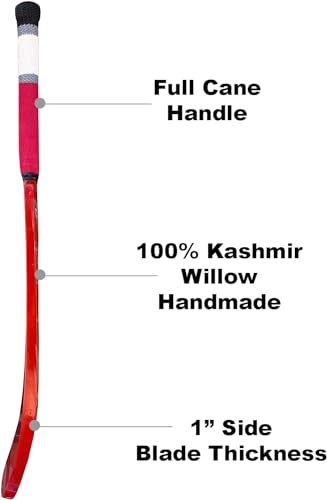 Full Size Kashmir Willow Cricket Bat U942062