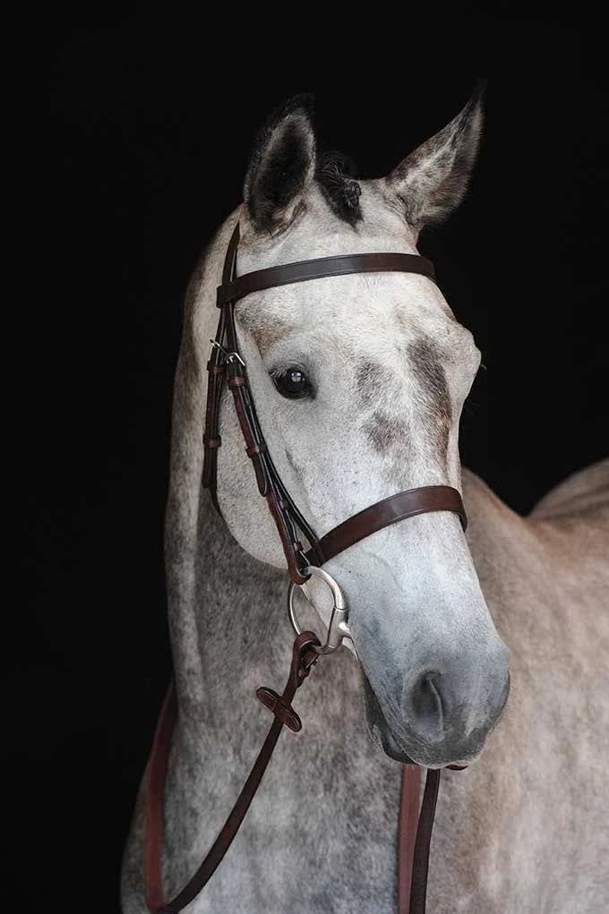 Black Cavesson Bridle L28559