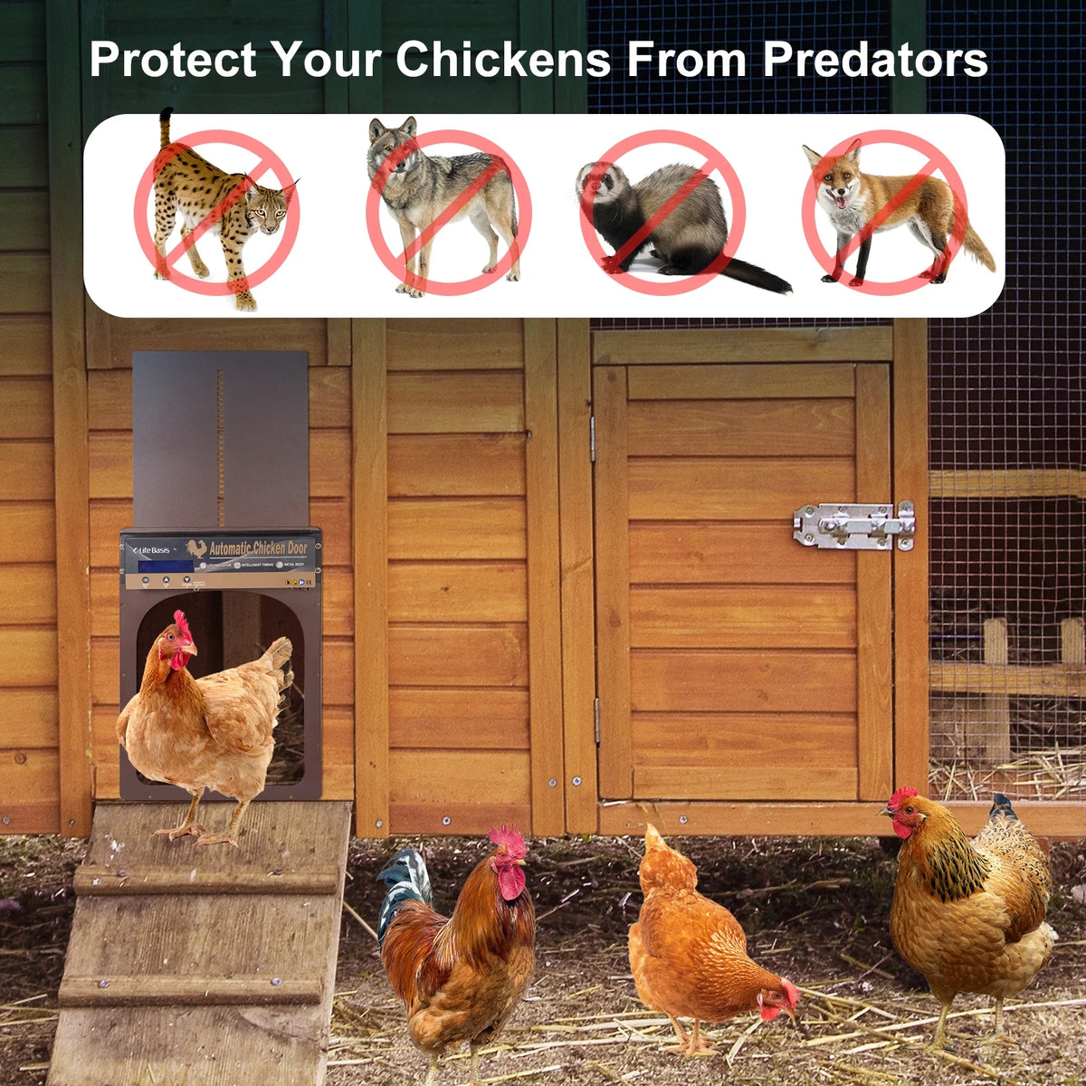 Solar Powered Automatic Chicken Coop Door with Remote Control B9829