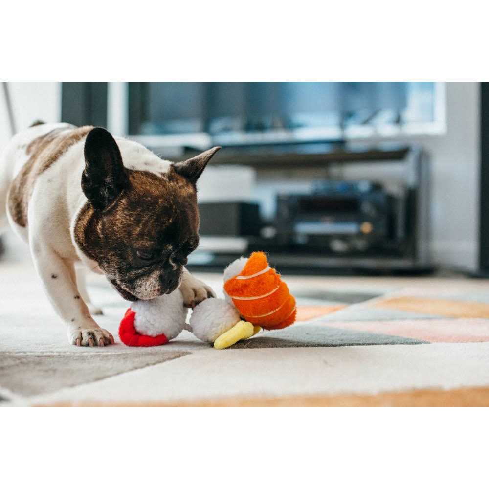 Dog Toy R787070