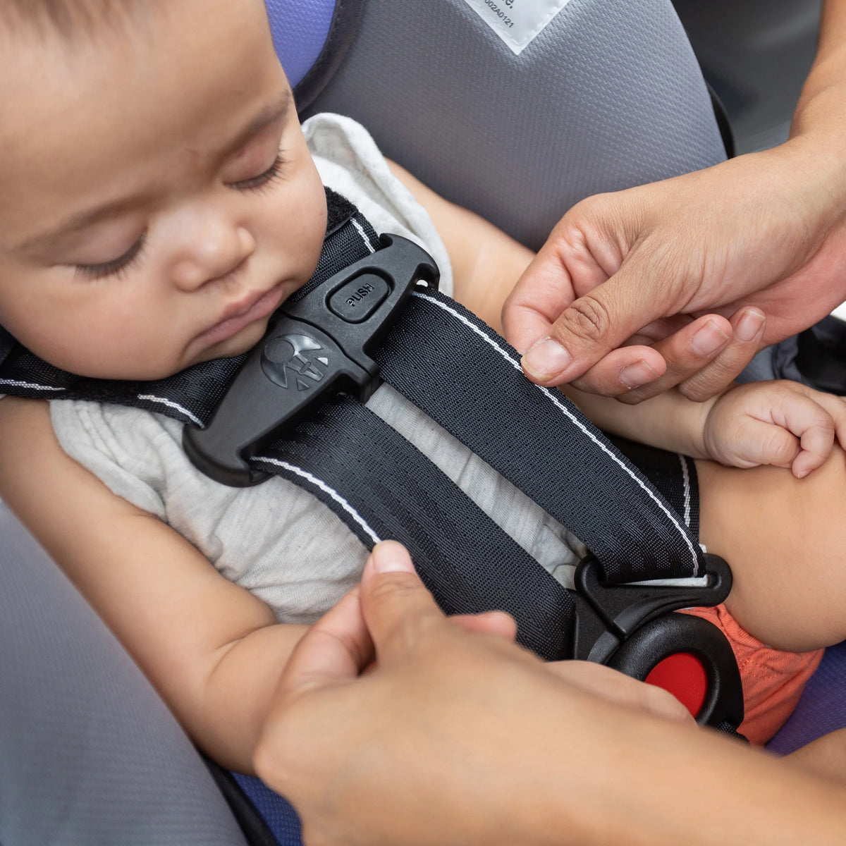 Infant Car Seat P27330