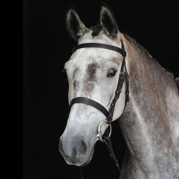 Black Cavesson Bridle L28559