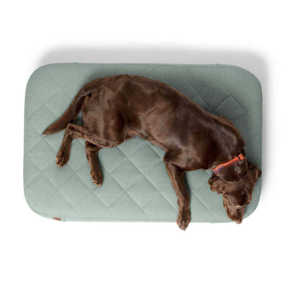 Dog Bed V5641
