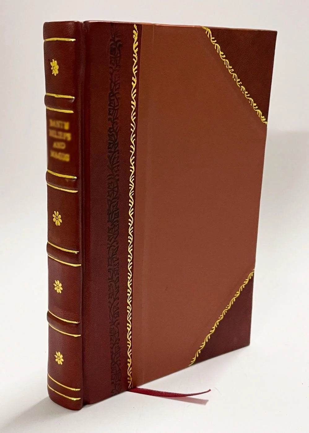 Leather Bound Book G464535