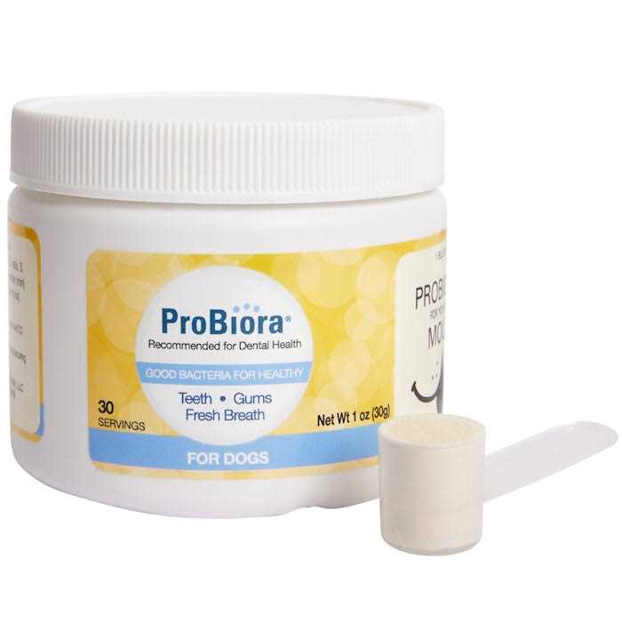 Probiotics for Your Dog’s Mouth N4906