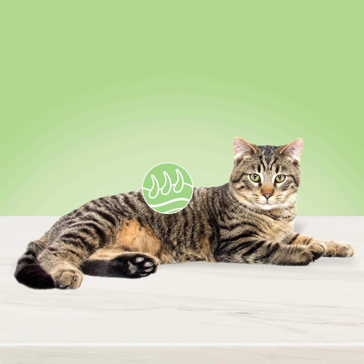 Natural Skin & Coat Care Adult Dry Cat Food G5120