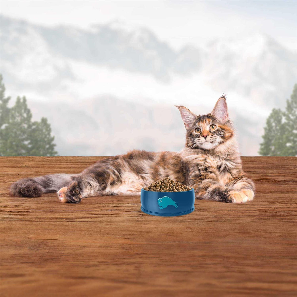 Adult Dry Cat Food P316190