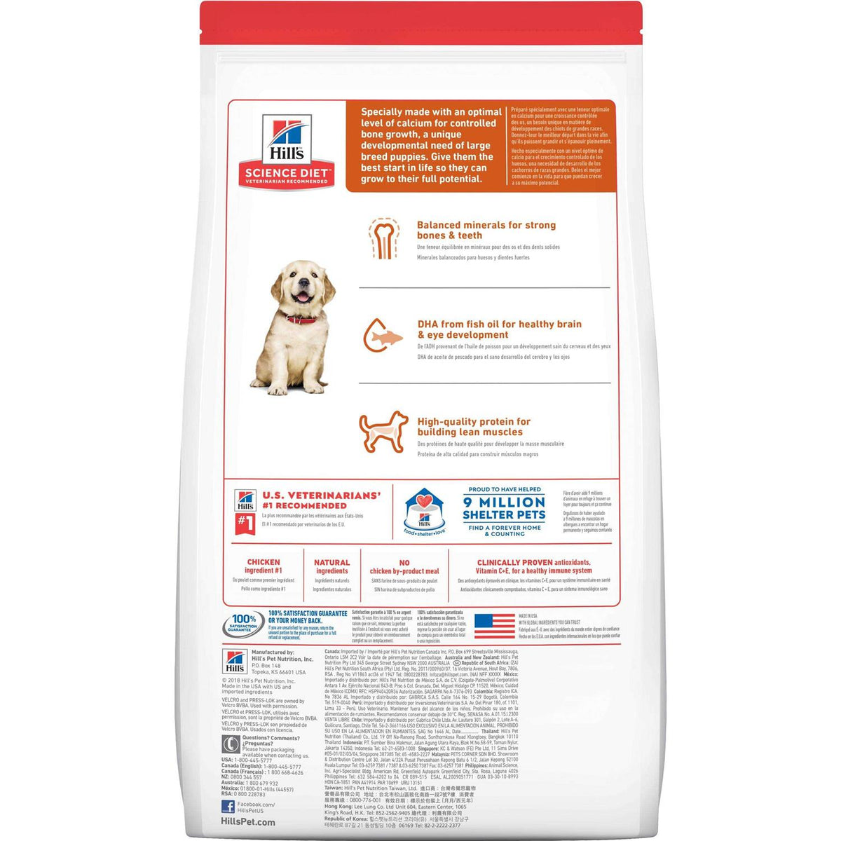 Large Breed Puppy Chicken Recipe Dry Dog Food C413