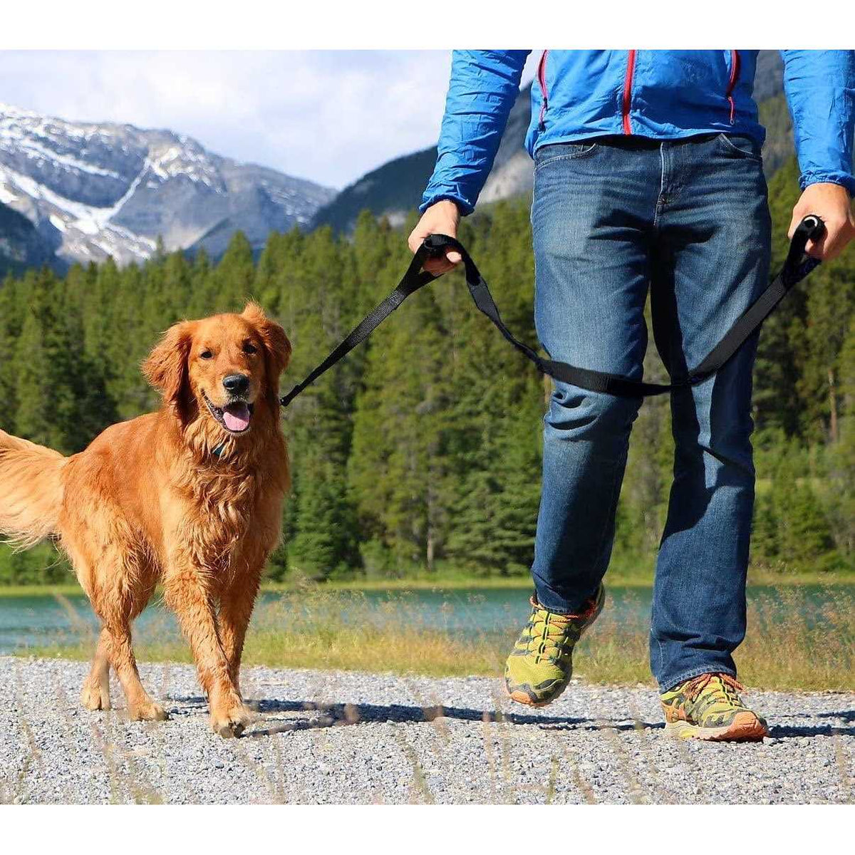 Heavy Duty Dog Leash F2295