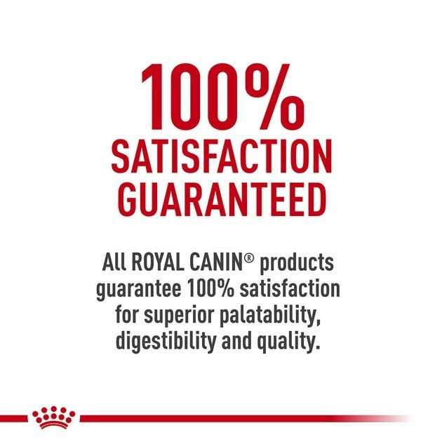 Maine Coon Dry Cat Food W445089