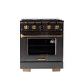 30 4.2 cu. ft. 4 Burner Propane Gas Dual Fuel Range Stainless Steel N572