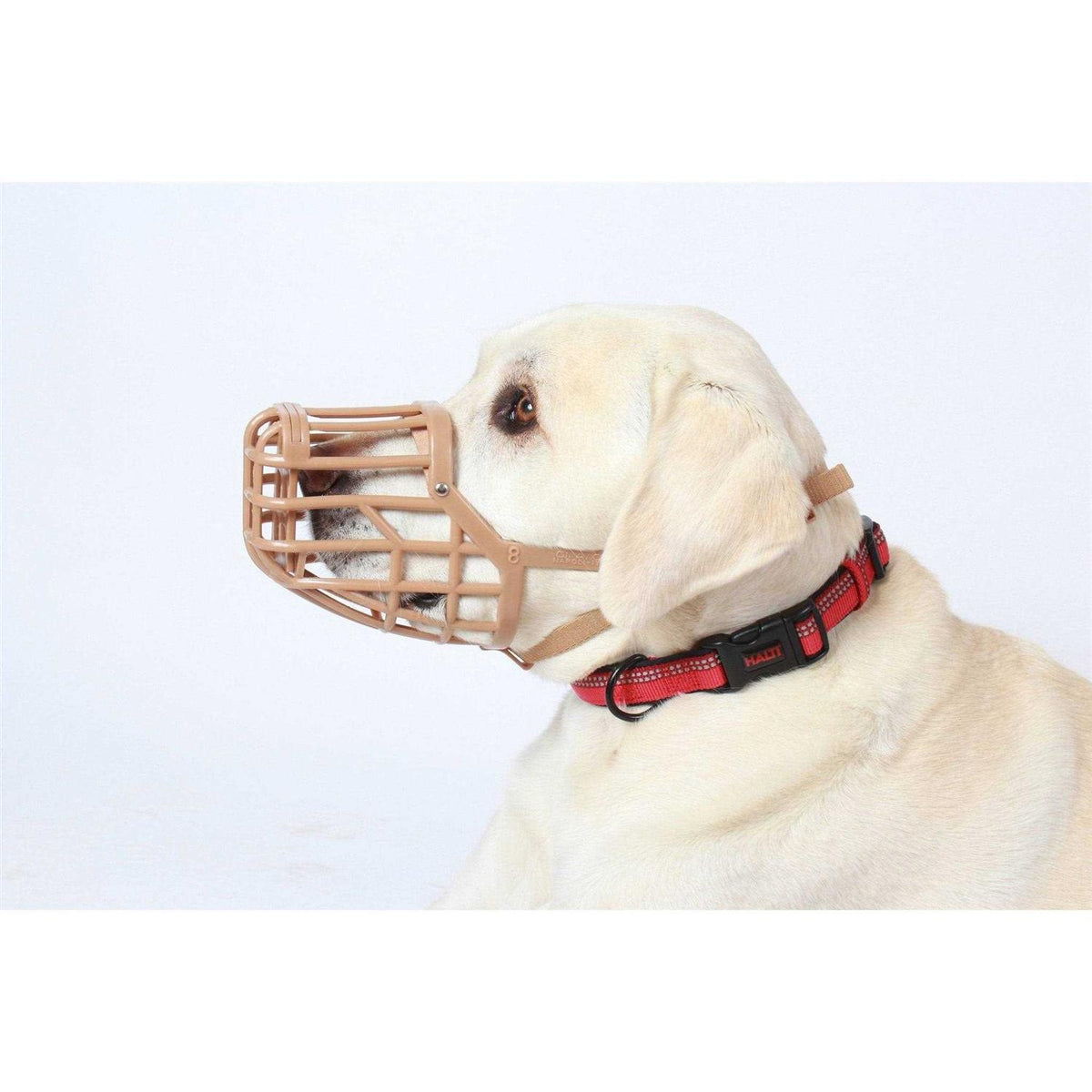 Muzzle B65090