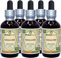 Dried Root Liquid Extract 5x2 oz C82664