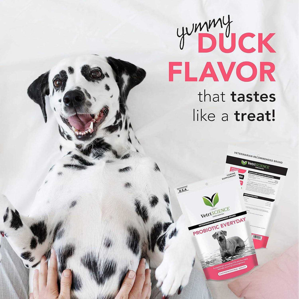 Probiotic Chews for Dogs X31312