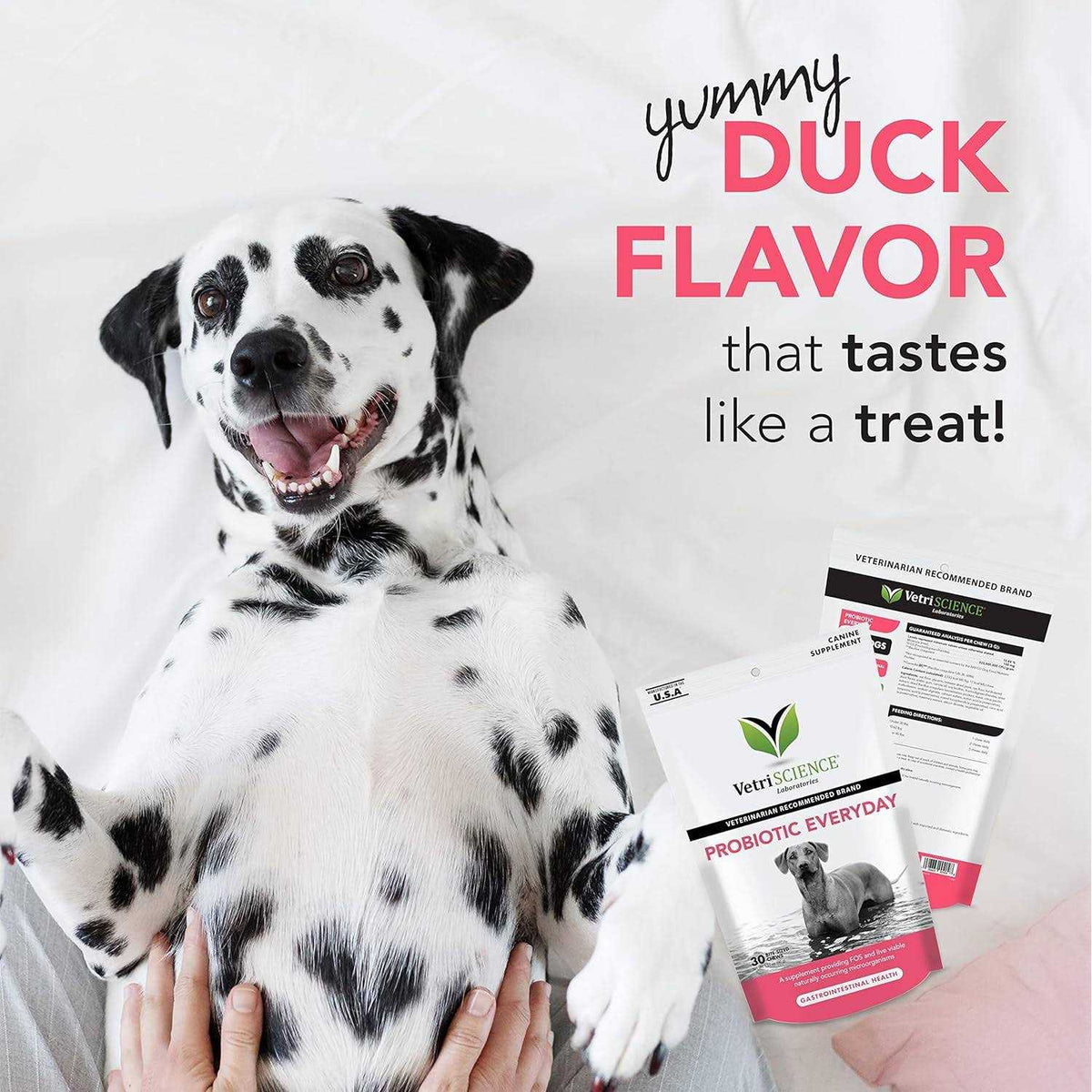 Probiotic Chews for Dogs X31312