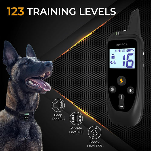 2 Pack Rechargeable Dog Training Collar with 2 Collars D16902