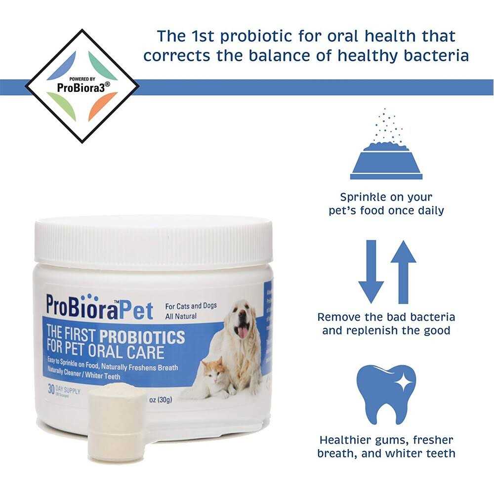 Probiotics for Your Dog’s Mouth N4906