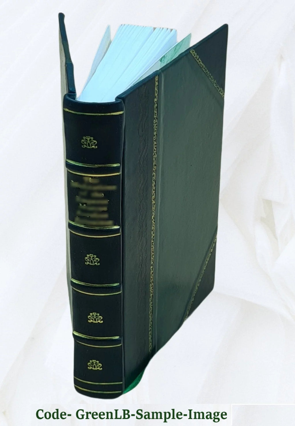 Leather Bound T349