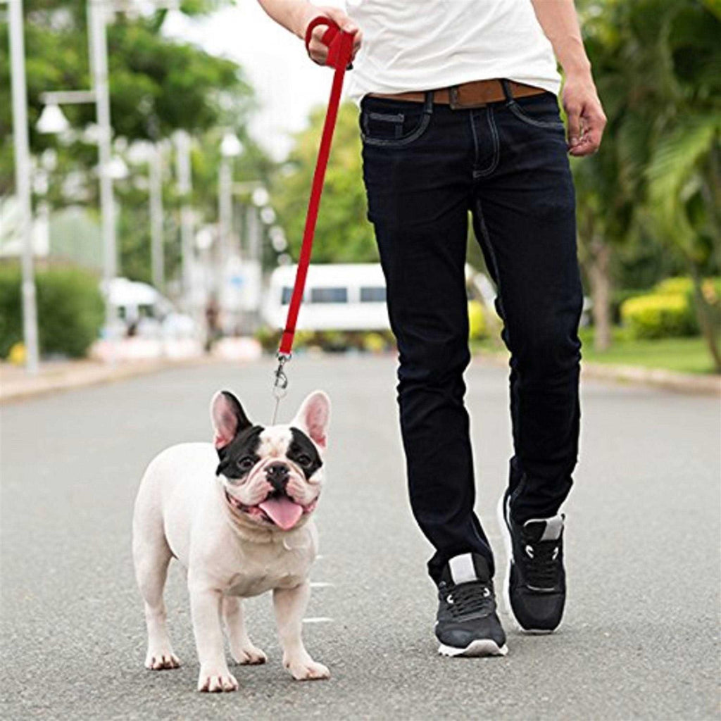 Long Lead Leash for Dog Training Z792
