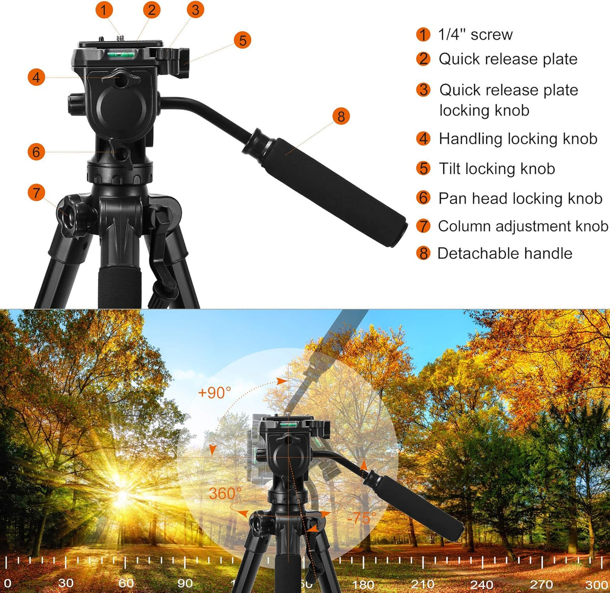 75 inch Tripod with Fluid Head, 2 Quick Release Mounts, Tablet & Phone Mount, Pack of 2 T73157