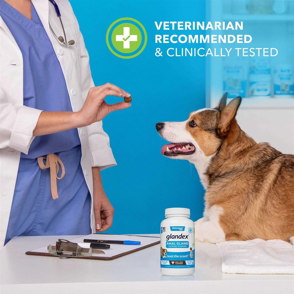 Anal Gland Support Powder for Dogs & Cats J79591